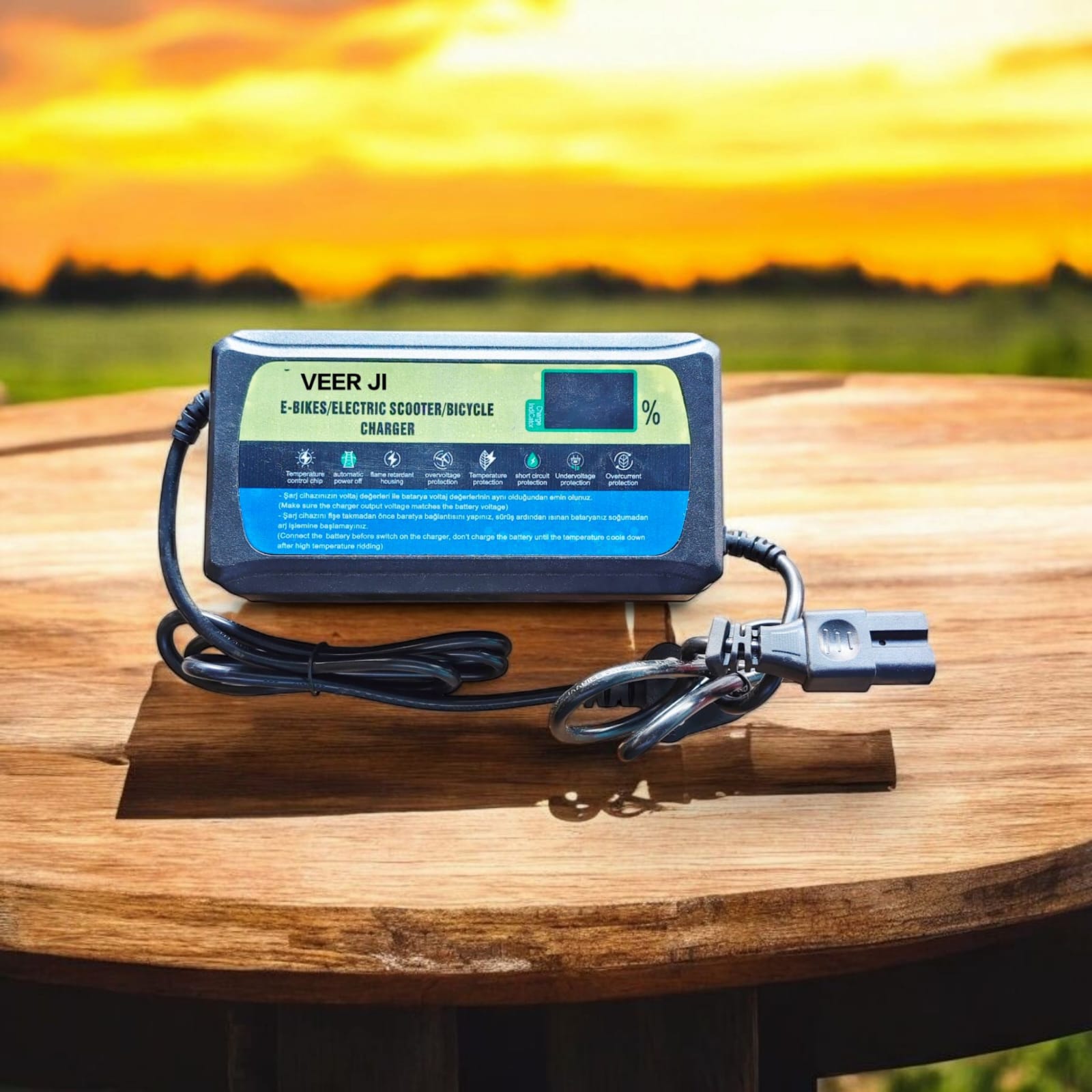 ev charger 48v lead acide charger